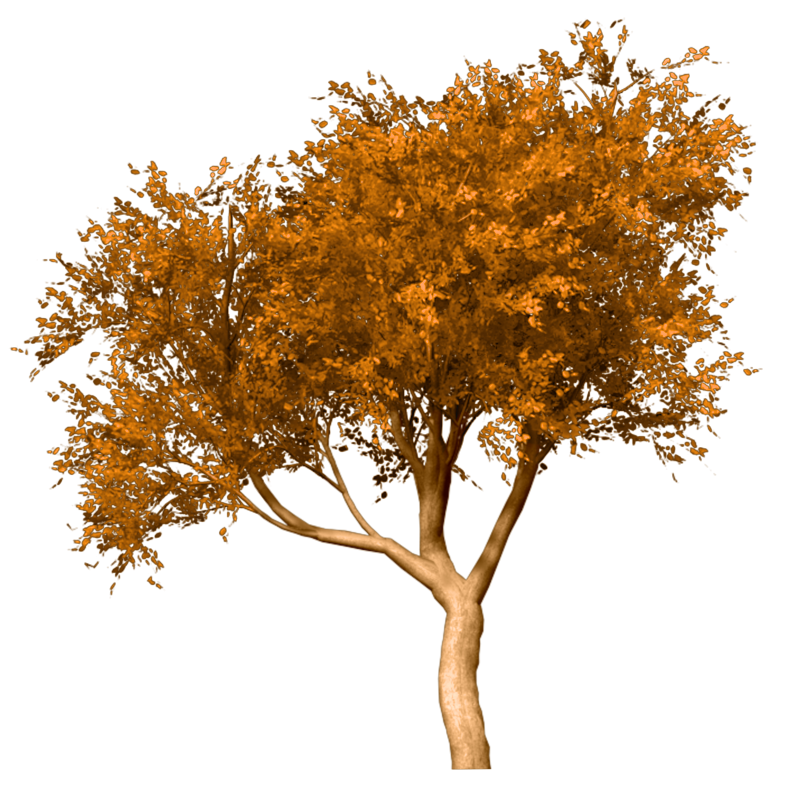 0_8e654_c8c2be03_orig