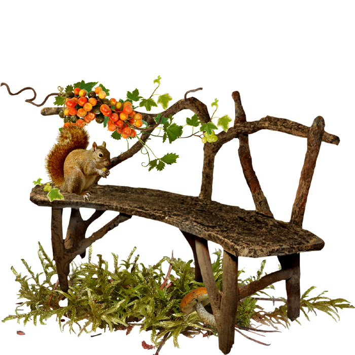 Wood Chair