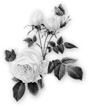 lisete_b&n_elements (12)