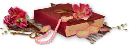 boek